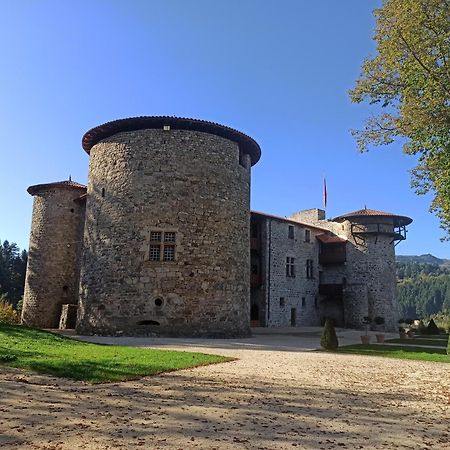 Gite Le Rocher Du Chateau De Retourtour لاماستر المظهر الخارجي الصورة
