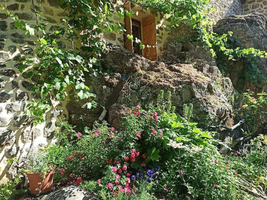 Gite Le Rocher Du Chateau De Retourtour لاماستر المظهر الخارجي الصورة