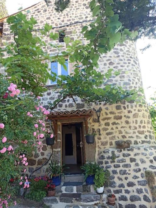 Gite Le Rocher Du Chateau De Retourtour لاماستر المظهر الخارجي الصورة